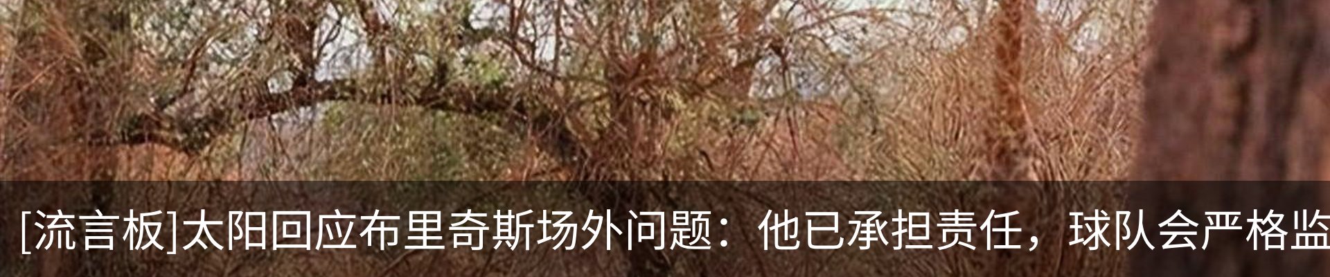 热点资讯